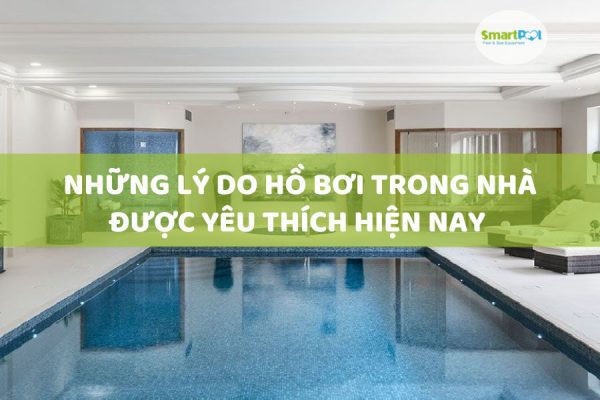 Những Lý Do Hồ Bơi Trong Nhà Được Yêu Thích Hiện Nay